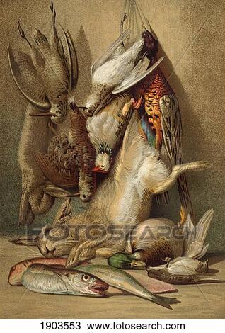 The Hunter's Bag, From Universal Lexicon Der Kochkunst Published 1878. View Large Photo Image Stock Image - The Hunter's Bag, From Universal Lexicon Der Kochkunst Published 1878.. Fotosearch