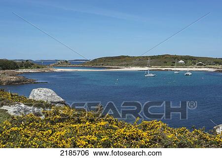 The Island Of Gugh Showing The Sand Bar (Tombolo) Viewed From St Agnes, Isles Of Scilly, Cornwall, Uk, Europe View Large Photo Image Stock Photograph - The Island Of Gugh Showing The Sand Bar (Tombolo) Viewed From St Agnes, Isles Of Scilly, Cornwall, Uk, Europe. Fotosearch