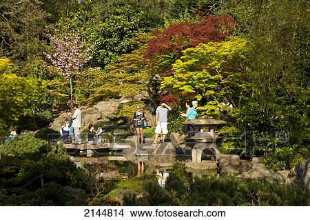 Picture - The Japanese Garden In Holland Park, West London, London, Uk. Fotosearch