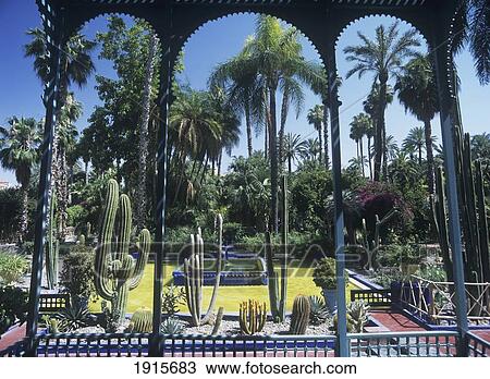 Stock Image - The Jardin Majorelle ( Yves Saint Laurents Garden ). Fotosearch