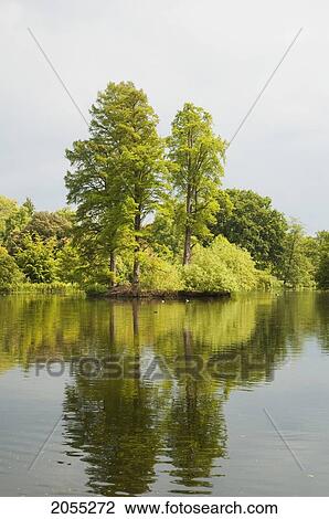 The Lake At Royal Botanic Gardens, Kew, Surrey, England, United Kingdom View Large Photo Image Stock Image - The Lake At Royal Botanic Gardens, Kew, Surrey, England, United Kingdom. Fotosearch