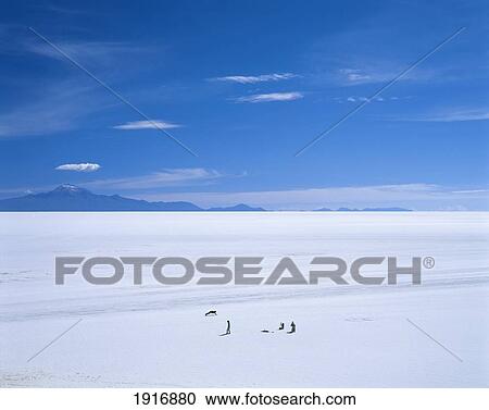 Stock Image - The Largest Salt Flat In The World. Fotosearch