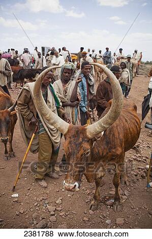 Stock Photo - The main livestock market; Lalibela, Ethiopia. Fotosearch