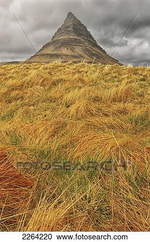 The mountain kirkjufell on the snaefellsnes peninsula; grundarfjorour iceland View Large Photo Image Stock Image - The mountain kirkjufell on the snaefellsnes peninsula; grundarfjorour iceland. Fotosearch