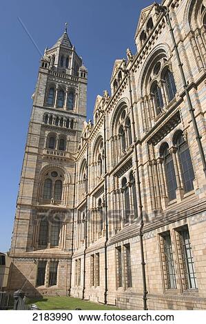 The Natural History Museum, London, England, Uk. View Large Photo Image Stock Image - The Natural History Museum, London, England, Uk.. Fotosearch