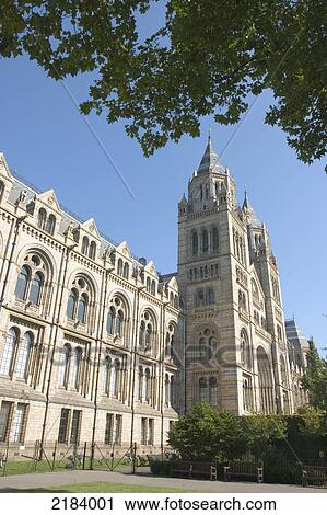 The Natural History Museum, London, England, Uk. View Large Photo Image Stock Image - The Natural History Museum, London, England, Uk.. Fotosearch
