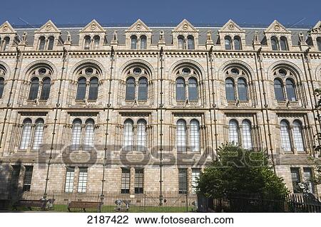 Stock Image - The Natural History Museum, London, England, Uk.. Fotosearch