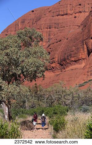 The Olgas, known in local language as Kata Djuta; Northern Territory, Australia View Large Photo Image Stock Image - The Olgas, known in local language as Kata Djuta; Northern Territory, Australia. Fotosearch