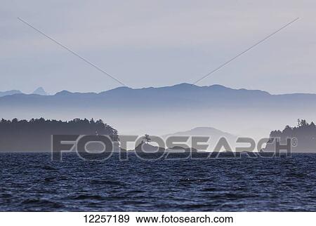 Stock Photo - The pacific ocean near Hakai Pass on the Central Coast; British Columbia, Canada. Fotosearch