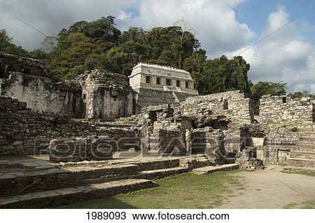 The Palace, Palenque, Chiapas, Mexico View Large Photo Image Stock Image - The Palace, Palenque, Chiapas, Mexico. Fotosearch