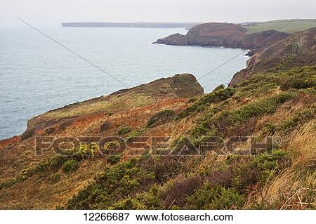 The Pembrokeshire Coastal Path between Freshwater East and Stackpole Quay; Wales View Large Photo Image Stock Photo - The Pembrokeshire Coastal Path between Freshwater East and Stackpole Quay; Wales. Fotosearch