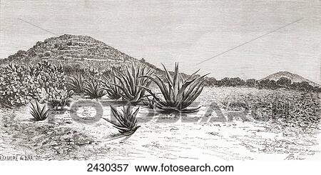 The Pyramid of the Sun, Teotihuacan, Mexico in the 19th century before its restoration. From Am View Large Photo Image Stock Photo - The Pyramid of the Sun, Teotihuacan, Mexico in the 19th century before its restoration. From Am. Fotosearch