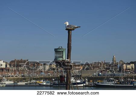 The Royal Harbour and marina; Ramsgate, Thanet, Kent, England View Large Photo Image Stock Image - The Royal Harbour and marina; Ramsgate, Thanet, Kent, England. Fotosearch