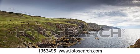 The Rugged Coastline; St. Abb's Head Scottish Borders Scotland View Large Photo Image Stock Photography - The Rugged Coastline; St. Abb's Head Scottish Borders Scotland. Fotosearch
