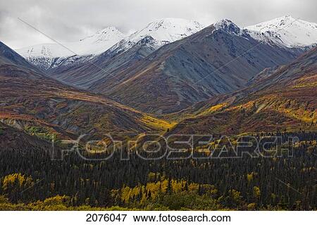 Stock Photo - The Saint Elias Mountains In Autumn Colours Along The Haines Highway; Yukon Canada. Fotosearch