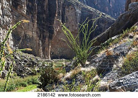 Stock Image - The Santa Elena Canyon Trail, Big Bend National Park, Texas, Usa. Fotosearch