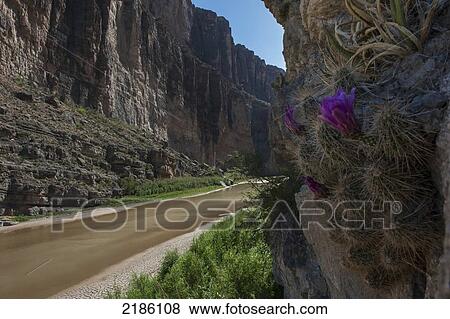 The Santa Elena Canyon Trail, Big Bend National Park, Texas, Usa View Large Photo Image Stock Photo - The Santa Elena Canyon Trail, Big Bend National Park, Texas, Usa. Fotosearch