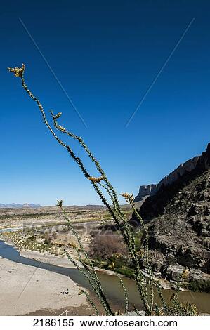 Stock Photography - The Santa Elena Canyon Trail, Big Bend National Park, Texas, Usa. Fotosearch