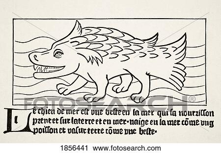 The Sea-Dog After A Wood Engraving In Dyalogue Des Creatures Published 1482. From Science And Literature In The Middle Ages By Paul Lacroix Published London 1878 View Large Photo Image Stock Image - The Sea-Dog After A Wood Engraving In Dyalogue Des Creatures Published 1482. From Science And Literature In The Middle Ages By Paul Lacroix Published London 1878. Fotosearch