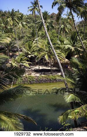 The secluded and fresh waters of the lagoon on Cola beach, Goa, India. View Large Photo Image Stock Image - The secluded and fresh waters of the lagoon on Cola beach, Goa, India.. Fotosearch