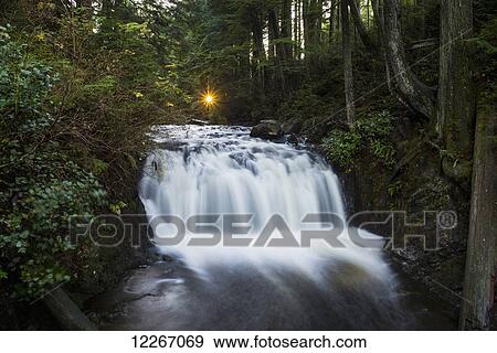 Stock Photo - The setting sun creates a star effect shining through the treas above Rolley Falls, Rolley Lake Provincial Park in the Stave Falls area; Mission, British Columbia, Canada. Fotosearch