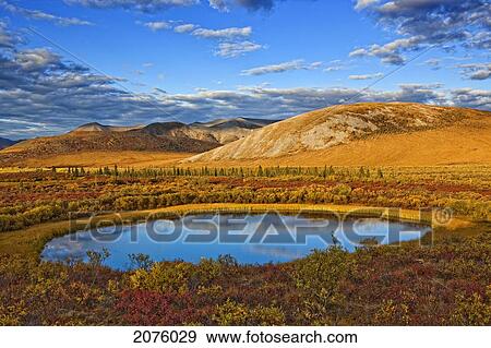 The Setting Sun Illuminates The Vibrant Colours Of The Tundra And A Pond Along The Dempster Highway; Yukon Canada View Large Photo Image Stock Photo - The Setting Sun Illuminates The Vibrant Colours Of The Tundra And A Pond Along The Dempster Highway; Yukon Canada. Fotosearch