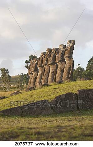 The Seven Moais (Restored In 1960 By Archaeologist William Mulloy) Of Ahu Akivi Are The Only Moai To Face The Ocean, Rapa Nui (Easter Island), Chile View Large Photo Image Stock Photo - The Seven Moais (Restored In 1960 By Archaeologist William Mulloy) Of Ahu Akivi Are The Only Moai To Face The Ocean, Rapa Nui (Easter Island), Chile. Fotosearch