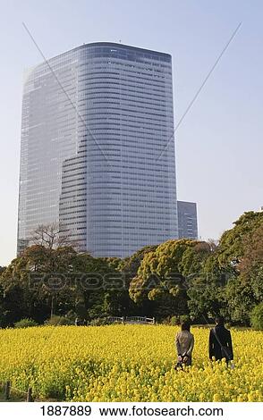 The Shiodome Business District Seen From Hamarikyu Gardens View Large Photo Image Stock Photo - The Shiodome Business District Seen From Hamarikyu Gardens. Fotosearch