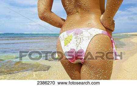 The skin of a young woman in a sexy bikini covered with sand; Kauai, Hawaii, United States of America View Large Photo Image Stock Image - The skin of a young woman in a sexy bikini covered with sand; Kauai, Hawaii, United States of America. Fotosearch