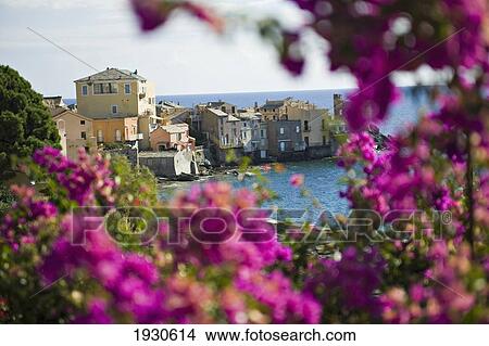 Picture - The small port of Erbalunga along the east coast of Cap Corse. Corsica. France. Fotosearch