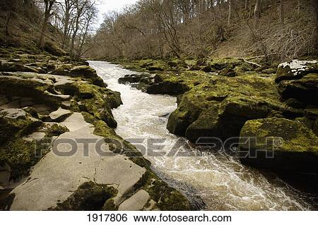 The Strid Part Of River Wharfe Near Bolton Abbey View Large Photo Image Stock Photograph - The Strid Part Of River Wharfe Near Bolton Abbey. Fotosearch