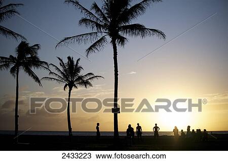 Stock Image - The sun sets on a row of palm trees on the island of Kauai; Kauai, Hawaii, United States of America. Fotosearch