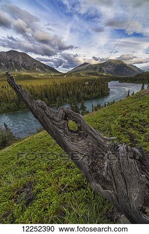 Stock Image - The Takhini River flows throigh a valley near Kusawa Lake, with an old tree stump on the hillside at sunset; Yukon. Fotosearch
