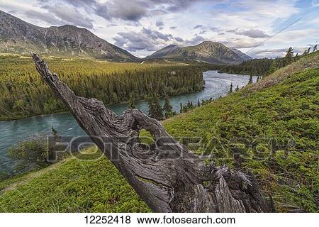 Stock Photo - The Takhini River flows through a valley near Kusawa Lake, with an old tree stump jutting from the hillside near sunset; Yukon, Canada. Fotosearch