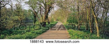 Stock Image - The Thames Path, Near Kew Gardens, West London.. Fotosearch