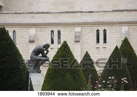 Picture - The Thinker Statue Surrounded By Roses And Shrubs In The Gardens; Paris, France. Fotosearch
