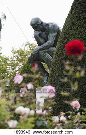 The Thinker Statue With Roses And Shrubs In The Gardens; Paris, France View Large Photo Image Stock Image - The Thinker Statue With Roses And Shrubs In The Gardens; Paris, France. Fotosearch