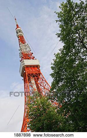 The Tokyo Tower And Tree View Large Photo Image Stock Photo - The Tokyo Tower And Tree. Fotosearch