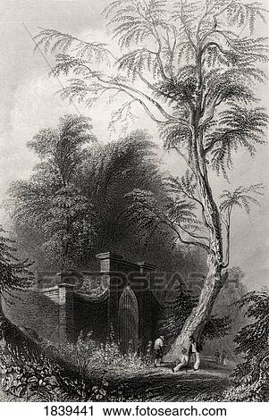 The Tomb Of Washington Mount Vernon Usa George Washington 1732-1799 First President Of The United States From A 19Th Century Print Engraved By J Cousen After W H Bartlett View Large Photo Image Stock Image - The Tomb Of Washington Mount Vernon Usa George Washington 1732-1799 First President Of The United States From A 19Th Century Print Engraved By J Cousen After W H Bartlett. Fotosearch