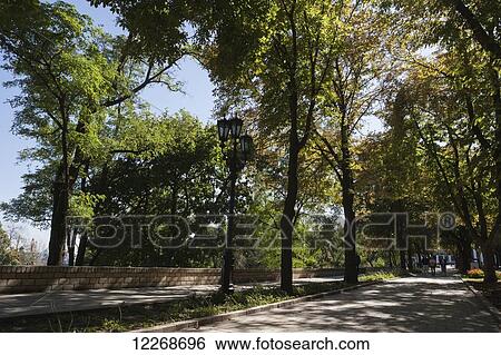 The tree-lined promenade of Prymorsky Bul; Odessa, Ukraine View Large Photo Image Stock Photograph - The tree-lined promenade of Prymorsky Bul; Odessa, Ukraine. Fotosearch