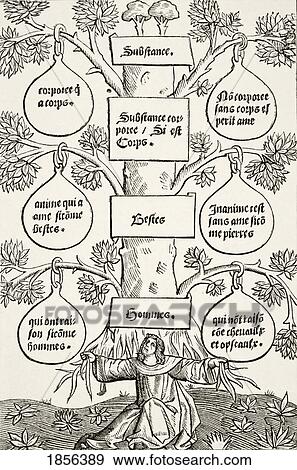 Stock Photo - The Tree Of Beings And Of Substances. After A Wood Engraving Of The Cuer De Philosophie Printed Paris 1514. From Science And Literature In The Middle Ages By Paul Lacroix Published London 1878. Fotosearch