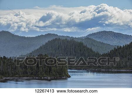 The trees on the islands and hills surrounding Prince Rupert; British Columbia, Canada View Large Photo Image Stock Image - The trees on the islands and hills surrounding Prince Rupert; British Columbia, Canada. Fotosearch