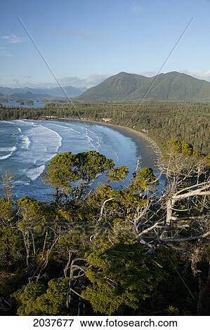 The View Of Cox Bay And Surrounding Mountains Near Tofino; British Columbia Canada View Large Photo Image Stock Photo - The View Of Cox Bay And Surrounding Mountains Near Tofino; British Columbia Canada. Fotosearch
