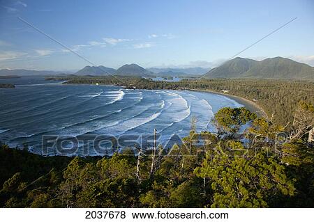 The View Of Cox Bay And Surrounding Mountains Near Tofino; British Columbia Canada View Large Photo Image Stock Photo - The View Of Cox Bay And Surrounding Mountains Near Tofino; British Columbia Canada. Fotosearch