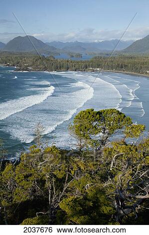 The View Of Cox Bay And Surrounding Mountains Near Tofino; British Columbia Canada View Large Photo Image Stock Photograph - The View Of Cox Bay And Surrounding Mountains Near Tofino; British Columbia Canada. Fotosearch