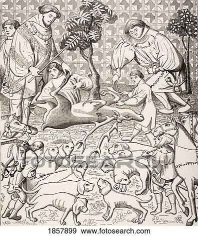 Stock Photo - The Way To Skin And Cut Up A Stag. 19Th Century Copy Of Miniature From 15Th Century Manuscript Phoebus And His Staff For Hunting Wild Animals. Fotosearch
