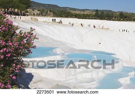 The white travertine limestone terraces and pools pamukkale is known as the cotton castle; pamukkale denizli province turkey View Large Photo Image Stock Image - The white travertine limestone terraces and pools pamukkale is known as the cotton castle; pamukkale denizli province turkey. Fotosearch