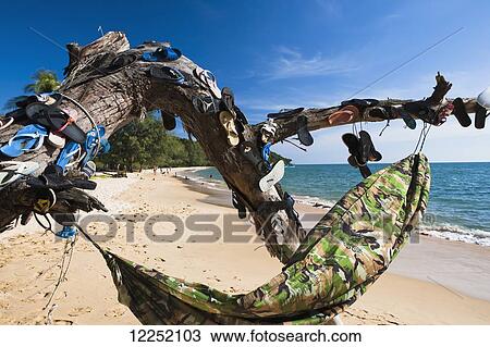 Stock Image - This tree is decorated with lost flip flops and a hammock on a beach on Bamboo Island; Sihanoukville, Cambodia. Fotosearch
