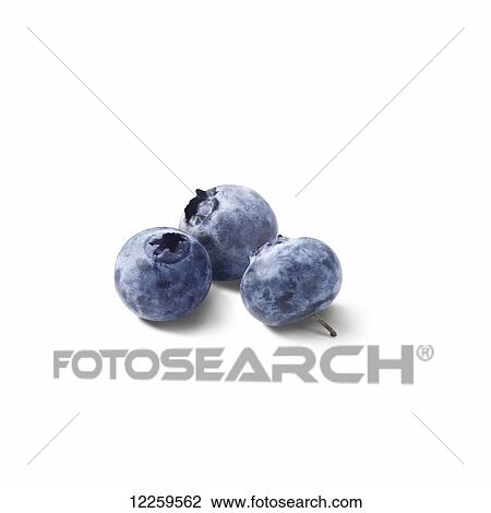 Three blueberries on a white background View Large Photo Image Stock Image - Three blueberries on a white background. Fotosearch