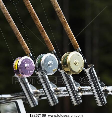 Three fishing rods with different coloured spools; Skeena-Queen Charlotte, British Columbia, Canada View Large Photo Image Stock Photo - Three fishing rods with different coloured spools; Skeena-Queen Charlotte, British Columbia, Canada. Fotosearch
